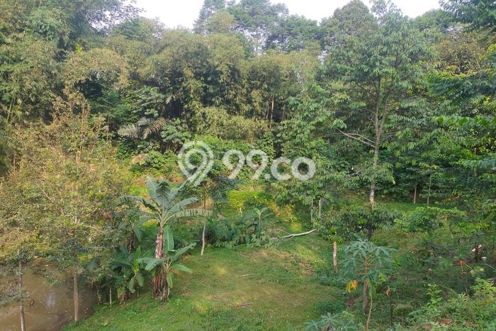 Kavling Tanah di Caringin Dijual Luas 3000m2 Legalitas SHM Kavling Tanah di Caringin Dijual Luas 3000m2 Legalitas SHM