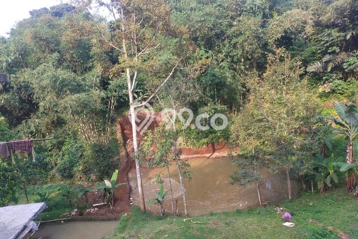 Kavling Tanah di Caringin Dijual Luas 3000m2 Legalitas SHM Kavling Tanah di Caringin Dijual Luas 3000m2 Legalitas SHM