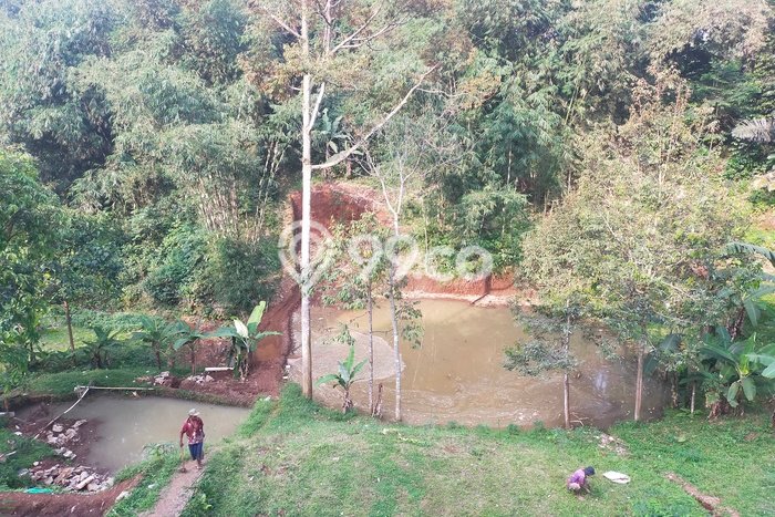 Kavling Tanah di Caringin Dijual Luas 3000m2 Legalitas SHM Kavling Tanah di Caringin Dijual Luas 3000m2 Legalitas SHM
