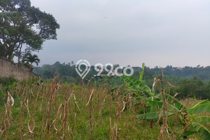 Lahan Kosong Dijual di Caringin, Bogor, Luas 1600m2 Area Strategis Lahan Kosong Dijual di Caringin, Bogor, Luas 1600m2 Area Strategis