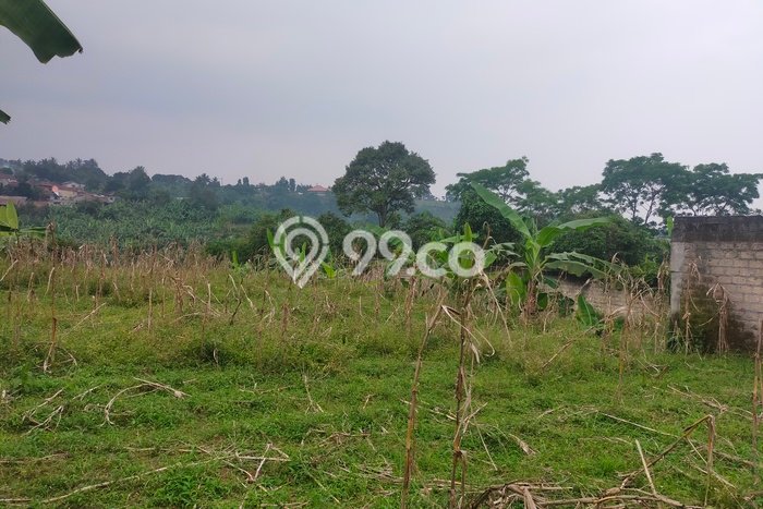 Lahan Kosong Dijual di Caringin, Bogor, Luas 1600m2 Area Strategis Lahan Kosong Dijual di Caringin, Bogor, Luas 1600m2 Area Strategis