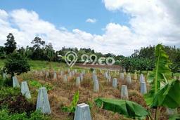 Lahan Strategis di Caringin Dijual dengan Luas 22000m2 Lahan Strategis di Caringin Dijual dengan Luas 22000m2