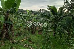 Lahan untuk Dijual Lokasi Caringin, Bogor Luas 15000m2 - Lahan untuk Dijual Lokasi Caringin, Bogor Luas 15000m2 -