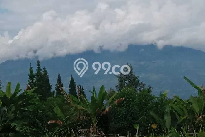 Tanah Dijual Lokasi Caringin Bogor SHM Tanah Dijual Lokasi Caringin Bogor SHM