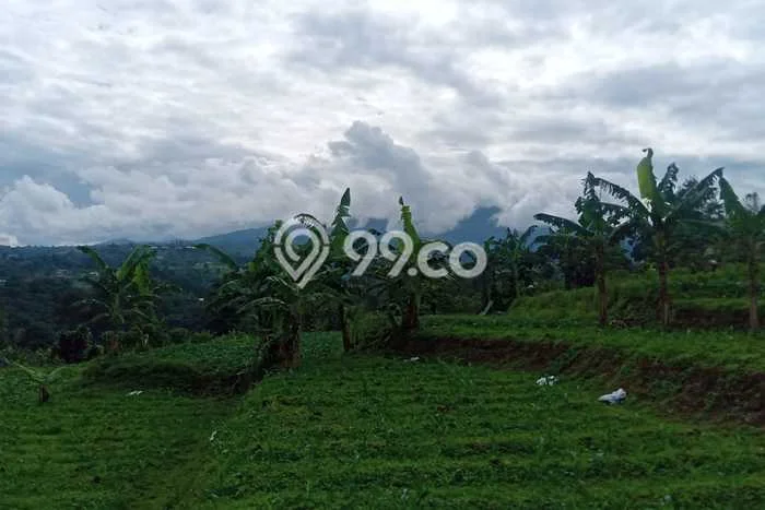Tanah Dijual Lokasi Caringin Bogor SHM Tanah Dijual Lokasi Caringin Bogor SHM