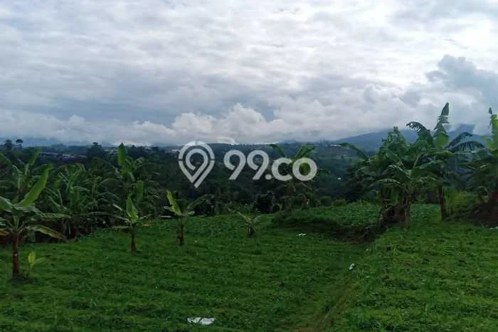 Tanah Dijual Lokasi Caringin Bogor SHM Tanah Dijual Lokasi Caringin Bogor SHM