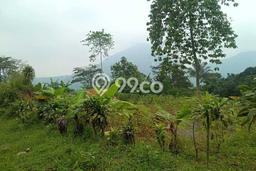 Jarang Ada! Tanah di Babakan Madang Punya Luas 2000m2 - Jarang Ada! Tanah di Babakan Madang Punya Luas 2000m2 -