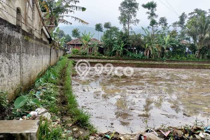 Tanah Kavling untuk Dijual di Cigombong Bogor 800m2 Tanah Kavling untuk Dijual di Cigombong Bogor 800m2