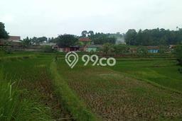 Tanah Strategis Dijual di Leuwiliang Bogor 2500m2 Tanah Strategis Dijual di Leuwiliang Bogor 2500m2