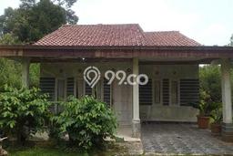 Tanah Strategis Dijual di Leuwiliang Bogor 10000m2 Tanah Strategis Dijual di Leuwiliang Bogor 10000m2