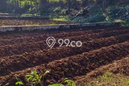 Lahan untuk Dijual Lokasi Cibungbulang, Bogor Luas 5500m2 - Lahan untuk Dijual Lokasi Cibungbulang, Bogor Luas 5500m2 -