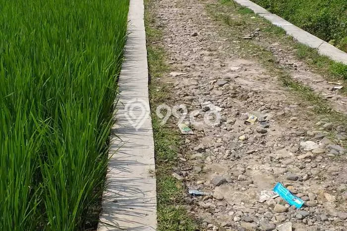 Dijual Tanah di Pamijahan Bogor Luas 1600m2 - Dijual Tanah di Pamijahan Bogor Luas 1600m2 -