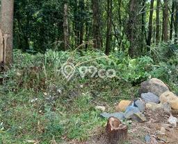 Tanah di Sukamakmur, Bogor Luas 28000m2 Dijual Segera Tanah di Sukamakmur, Bogor Luas 28000m2 Dijual Segera