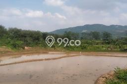 Tanah di Sukamakmur, Bogor Luas 100000m2 Dijual Segera Tanah di Sukamakmur, Bogor Luas 100000m2 Dijual Segera
