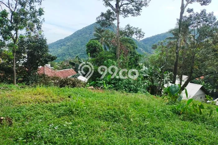 Tanah Dijual Area Strategis di Sentul City Bogor 800m2 Tanah Dijual Area Strategis di Sentul City Bogor 800m2