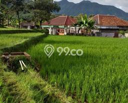 Tanah Dijual Lokasi Pamijahan, Bogor Luas 5000m2 Legalitas Aman Tanah Dijual Lokasi Pamijahan, Bogor Luas 5000m2 Legalitas Aman