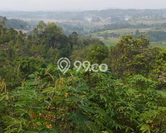Tanah Dijual Lokasi Pamijahan, Bogor dengan Luas Tanah 500m2 dan Status - Tanah Dijual Lokasi Pamijahan, Bogor dengan Luas Tanah 500m2 dan Status -