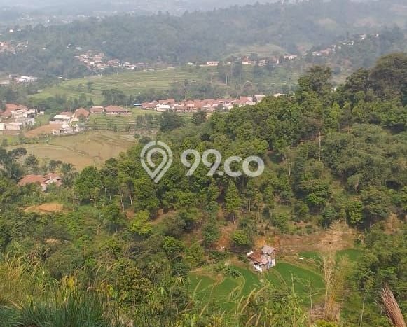 Tanah Dijual Lokasi Pamijahan, Bogor dengan Luas Tanah 500m2 dan Status - Tanah Dijual Lokasi Pamijahan, Bogor dengan Luas Tanah 500m2 dan Status -