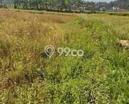 Kavling Tanah di Pamijahan Dijual Luas 1074m2 Legalitas SHM Kavling Tanah di Pamijahan Dijual Luas 1074m2 Legalitas SHM