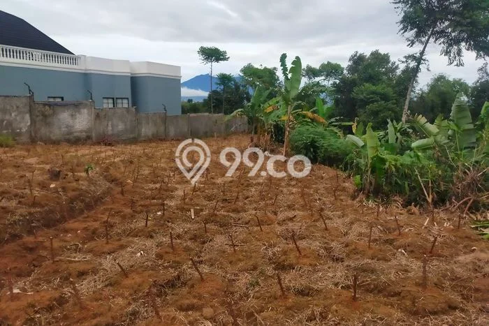 Tanah Investasi Dijual di Bogor Punya Luas 1100m2 Tanah Investasi Dijual di Bogor Punya Luas 1100m2
