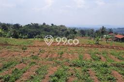 Tanah Kawasan Tenjolaya, Luas 22000m2m², Area Strategis, Lingkungan Nyaman, Bebas Banjir Tanah Kawasan Tenjolaya, Luas 22000m2m², Area Strategis, Lingkungan Nyaman, Bebas Banjir