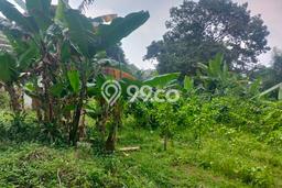 Tanah Kawasan Komersial di Cigombong, Luas 2000m2m², Cocok untuk Investasi Tanah Kawasan Komersial di Cigombong, Luas 2000m2m², Cocok untuk Investasi