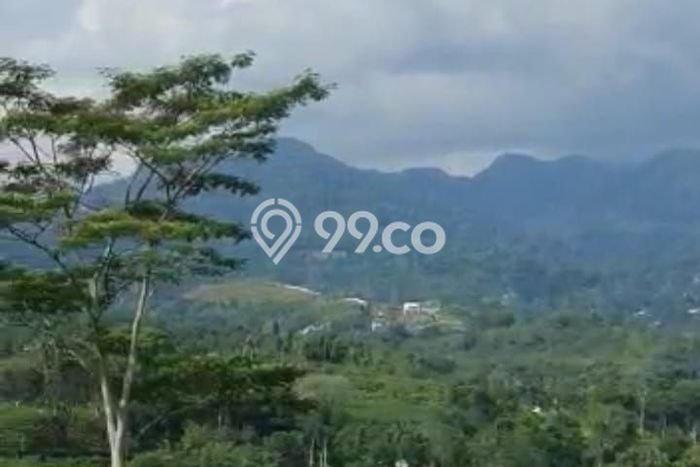 Kavling Tanah untuk Dijual di Puncak, Bogor, Luas 2002m2 Kavling Tanah untuk Dijual di Puncak, Bogor, Luas 2002m2