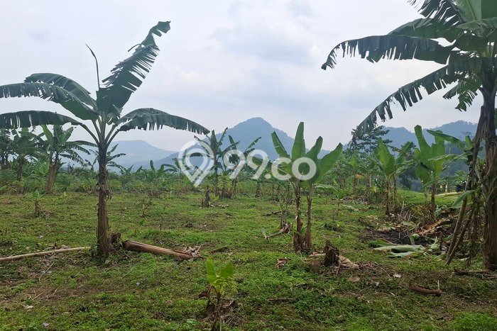 Kavling Tanah untuk Dijual di Sentul City, Bogor, Luas 2800m2 Kavling Tanah untuk Dijual di Sentul City, Bogor, Luas 2800m2