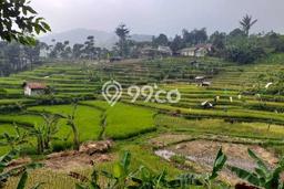 Dijual Tanah Area Prospektif di Pamijahan, Luas 2500m2m², Akses Pamijahan, Bogor, Bogor Dijual Tanah Area Prospektif di Pamijahan, Luas 2500m2m², Akses Pamijahan, Bogor, Bogor