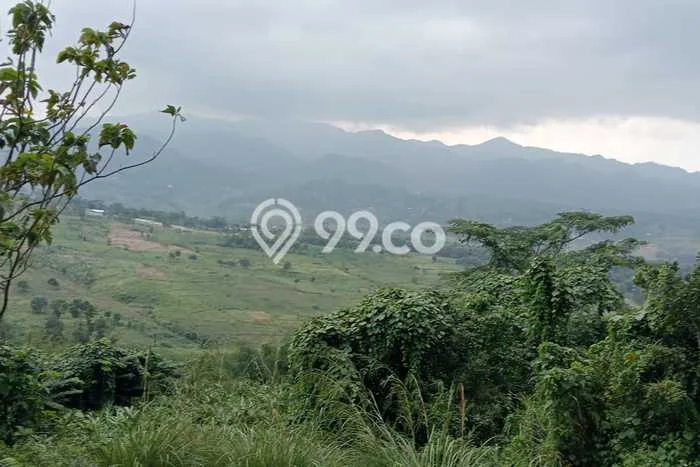 Lahan Strategis di Sukamakmur Dijual dengan Luas 7398m2 Lahan Strategis di Sukamakmur Dijual dengan Luas 7398m2