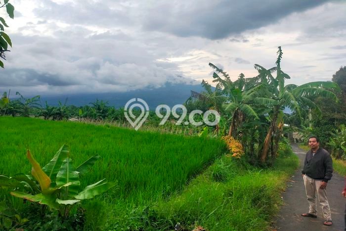 Kavling Tanah Dijual di Caringin, Bogor, Luas 1300m2 Area Strategis Kavling Tanah Dijual di Caringin, Bogor, Luas 1300m2 Area Strategis