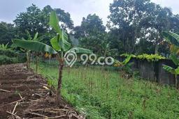 Lahan Dijual Lokasi Cigombong, Bogor dengan Luas Tanah 1000m2 dan Status SHM Lahan Dijual Lokasi Cigombong, Bogor dengan Luas Tanah 1000m2 dan Status SHM