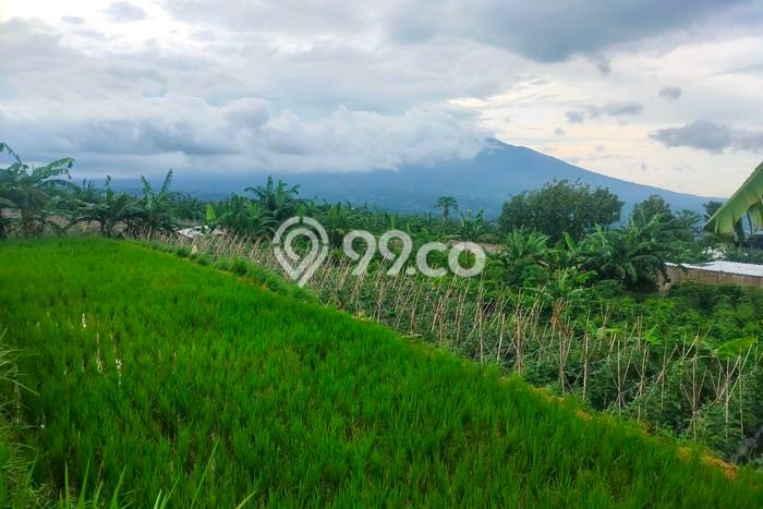 Kavling Tanah Dijual di Caringin, Bogor, Luas 1300m2 Area Strategis Kavling Tanah Dijual di Caringin, Bogor, Luas 1300m2 Area Strategis