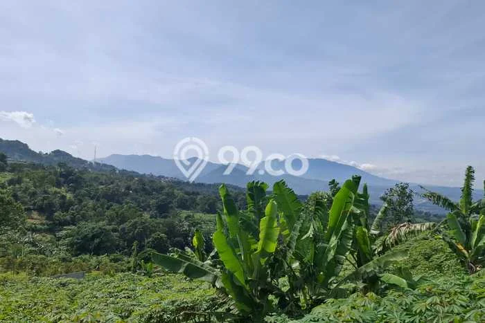 Tanah Kavling di Citeureup Dijual dengan Luas 2352m2 Tanah Kavling di Citeureup Dijual dengan Luas 2352m2