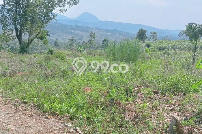Tanah untuk Dijual di Sukamakmur Bogor Luas 30000m2 Tanah untuk Dijual di Sukamakmur Bogor Luas 30000m2
