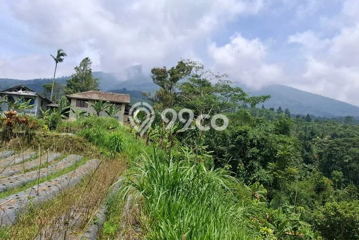 Lahan Dijual Lokasi Cicurug, Sukabumi dengan Luas Tanah 6000m2 dan Status AJB Lahan Dijual Lokasi Cicurug, Sukabumi dengan Luas Tanah 6000m2 dan Status AJB