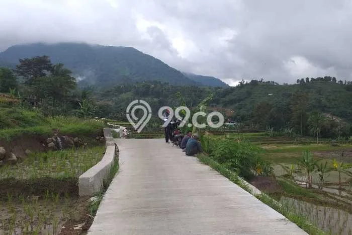 Lahan untuk Dijual Lokasi Pamijahan, Bogor Luas 2500m2 - Lahan untuk Dijual Lokasi Pamijahan, Bogor Luas 2500m2 -