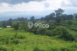 Tanah Dijual Lokasi Cijeruk, Bogor Luas 4000m2 Legalitas Aman Tanah Dijual Lokasi Cijeruk, Bogor Luas 4000m2 Legalitas Aman