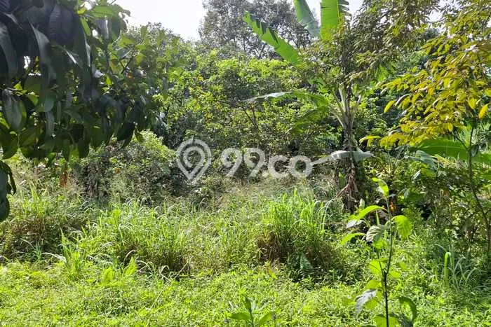 Tanah untuk Dijual di Citeureup Bogor Luas 4000m2 Tanah untuk Dijual di Citeureup Bogor Luas 4000m2