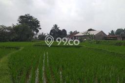 Jarang Ada! Tanah di Pamijahan Punya Luas 1200m2 - Jarang Ada! Tanah di Pamijahan Punya Luas 1200m2 -