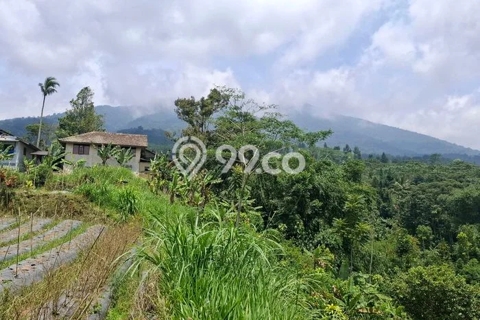 Lahan Dijual Lokasi Cicurug, Sukabumi dengan Luas Tanah 6000m2 dan Status AJB Lahan Dijual Lokasi Cicurug, Sukabumi dengan Luas Tanah 6000m2 dan Status AJB