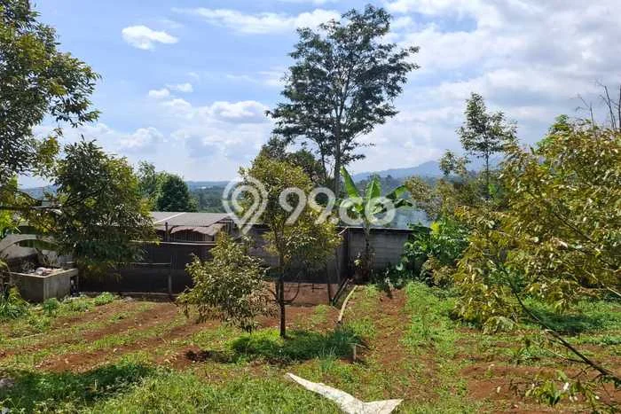 Tanah Kavling untuk Dijual di Caringin Bogor 1800m2 Tanah Kavling untuk Dijual di Caringin Bogor 1800m2