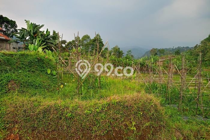 Lahan Kosong Dijual di Pamijahan, Bogor, Luas 1000m2 Area Strategis Lahan Kosong Dijual di Pamijahan, Bogor, Luas 1000m2 Area Strategis