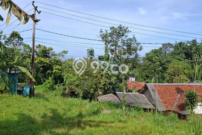 Tanah di Citeureup, Bogor Luas 2604m2 Dijual Segera Tanah di Citeureup, Bogor Luas 2604m2 Dijual Segera