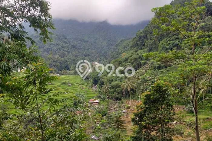 Kavling Tanah Dijual di Pamijahan Bogor Spesifikasi 1000m2 Kavling Tanah Dijual di Pamijahan Bogor Spesifikasi 1000m2