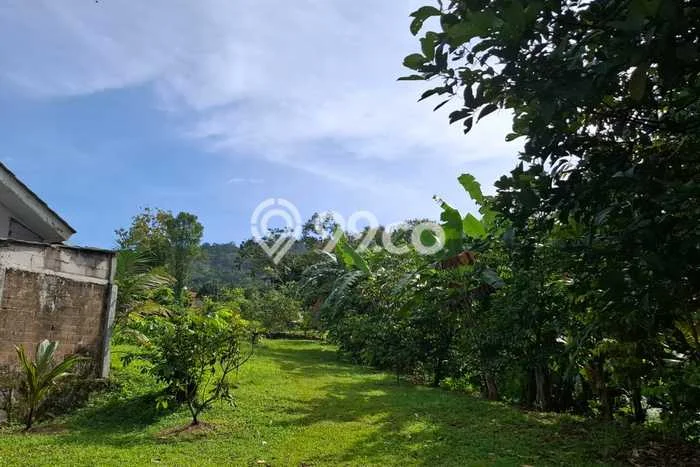 Tanah untuk Dijual di Citeureup Bogor Luas 4000m2 Tanah untuk Dijual di Citeureup Bogor Luas 4000m2