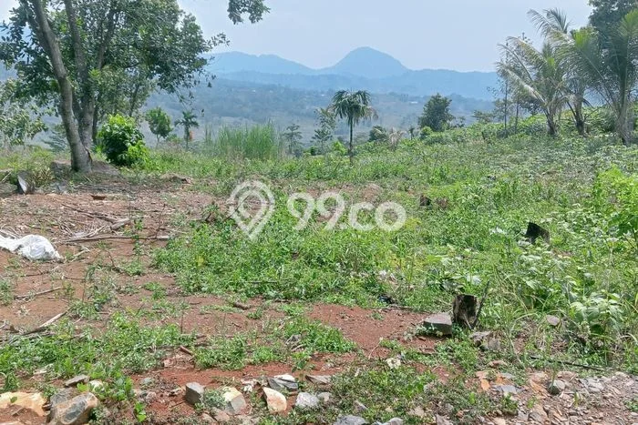 Tanah untuk Dijual di Sukamakmur Bogor Luas 30000m2 Tanah untuk Dijual di Sukamakmur Bogor Luas 30000m2
