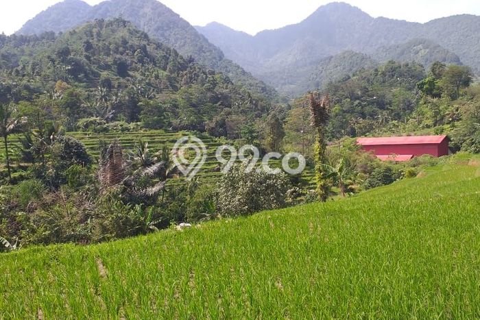 Lahan Investasi Lokasi Pamijahan Bogor SHM Lahan Investasi Lokasi Pamijahan Bogor SHM