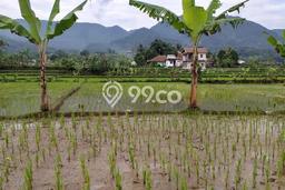 Lahan Investasi Lokasi Pamijahan Bogor SHM Lahan Investasi Lokasi Pamijahan Bogor SHM
