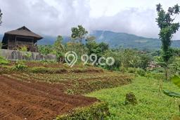 Jarang Ada! Tanah di Cigombong Punya Luas 1000m2 SHM Jarang Ada! Tanah di Cigombong Punya Luas 1000m2 SHM